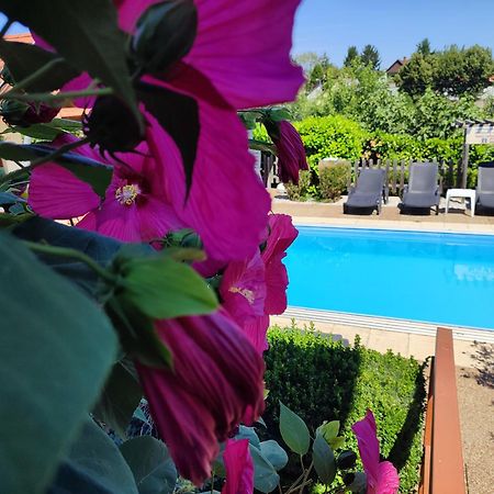 Haus Marika Otel Siofok Dış mekan fotoğraf