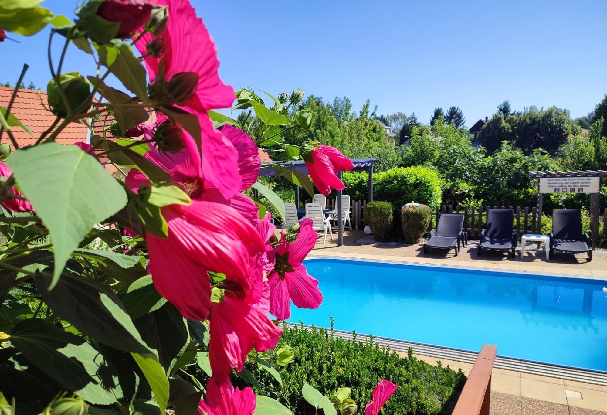 Haus Marika Otel Siofok Dış mekan fotoğraf